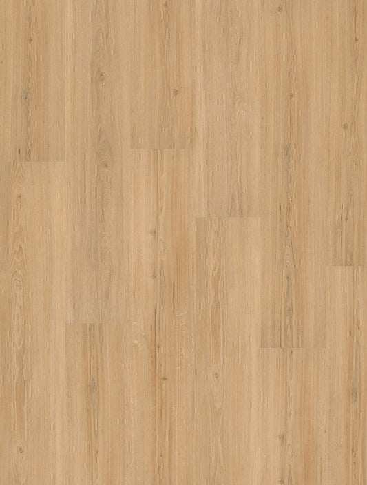 INKU Homeline 30 Click 31-15 Risseiche Holzdekor als Dekoransicht