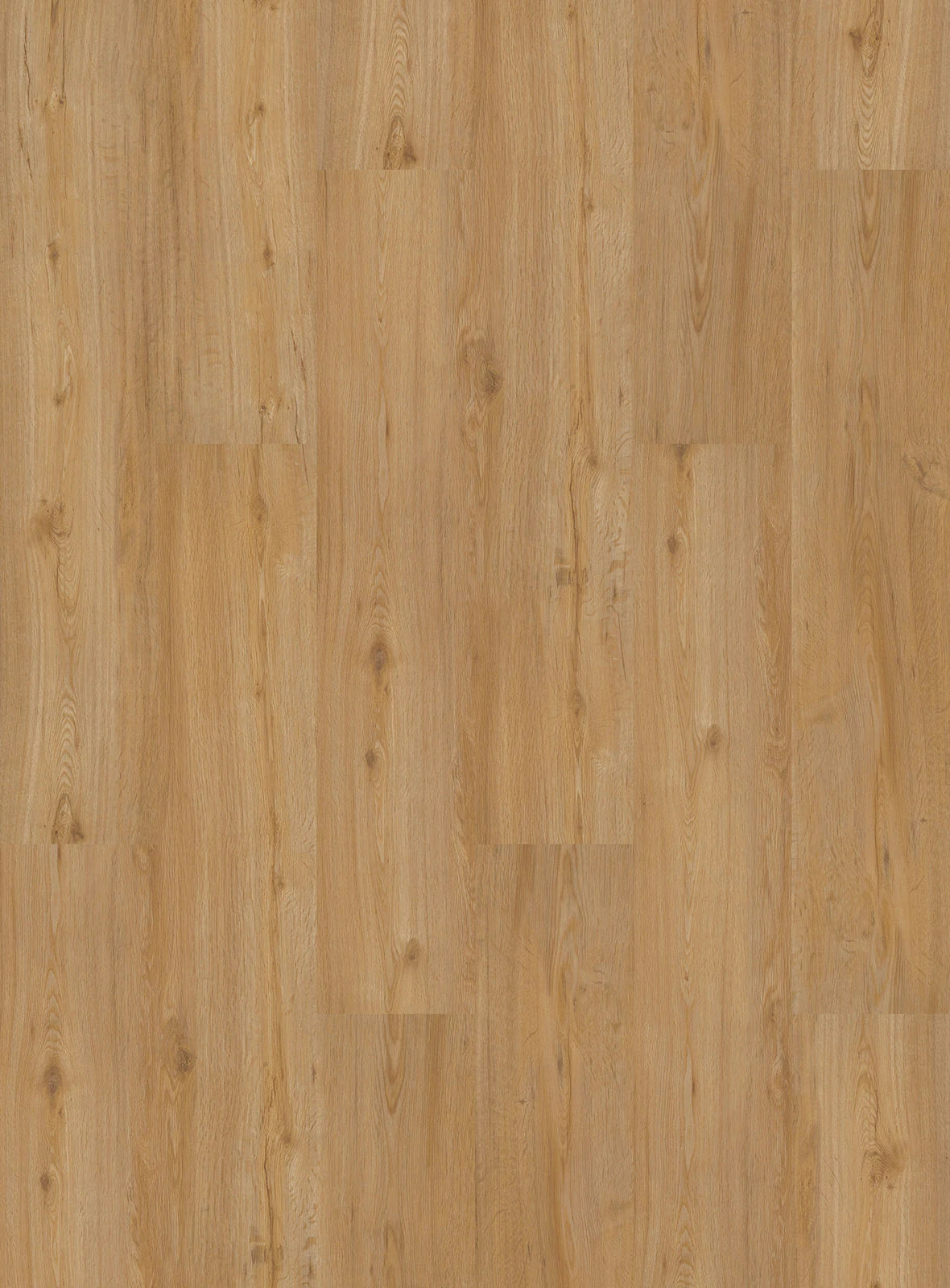 INKU Homeline 30 Click 31-19 Feldeiche Natur Holzdekor als Dekoransicht
