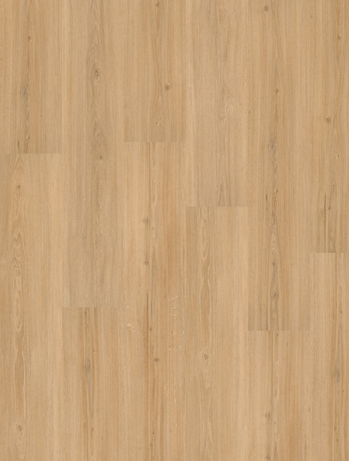 INKU Homeline 55 Dryback 55-15 Risseiche Klebevinyl, Dekoransicht mit markanter Ast- und Risszeichnung
