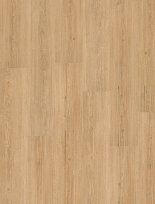 INKU Homeline 55 Dryback 55-15 Risseiche Klebevinyl, Dekoransicht mit markanter Ast- und Risszeichnung