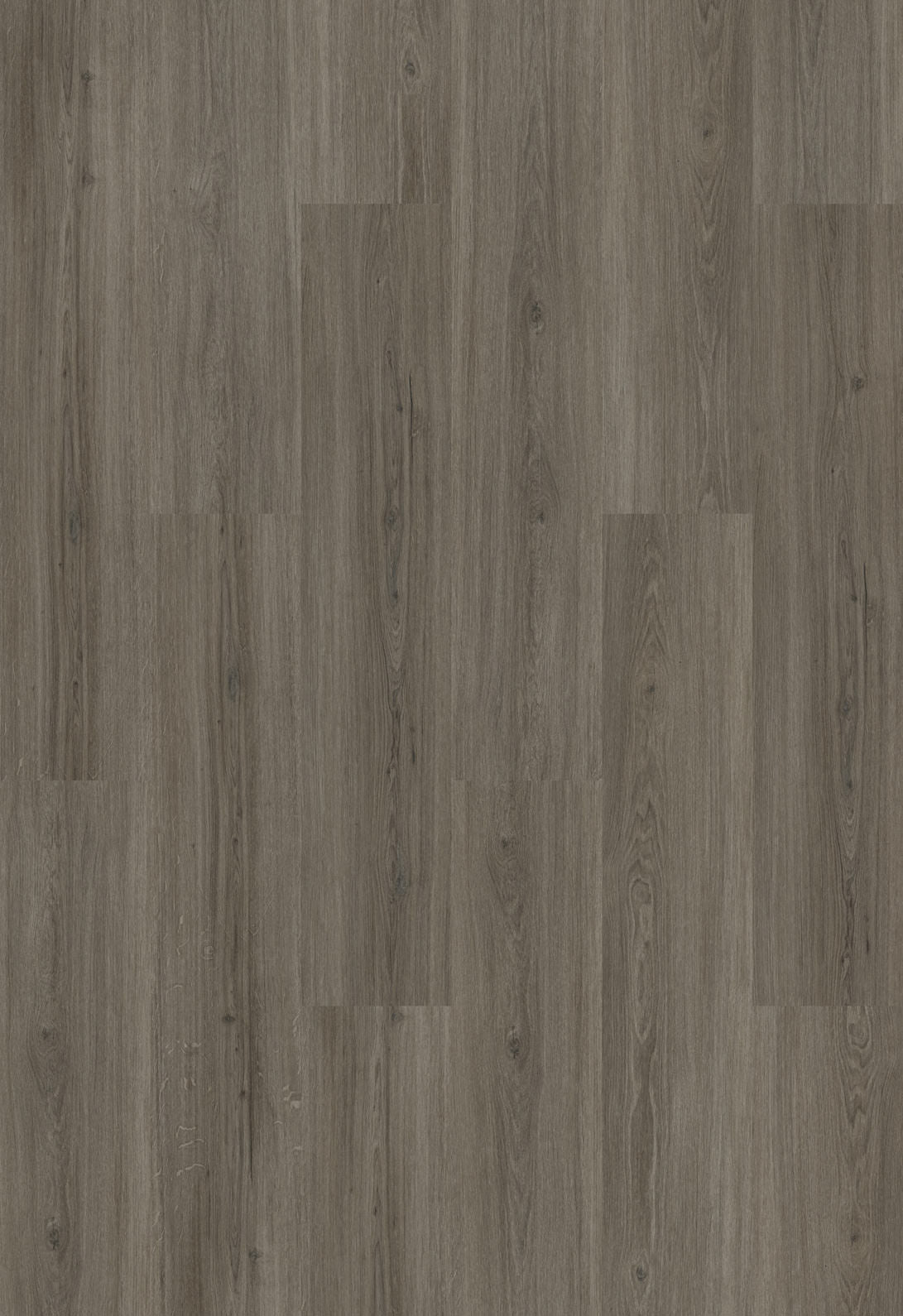 INKU Homeline 55 Dryback 55-17 Eiche Greige Klebevinyl