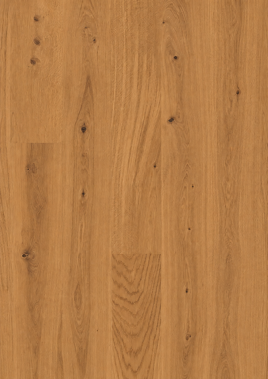 JOKA 512LD Kjare KE309 Oak amber Nature Eiche Landhausdiele
