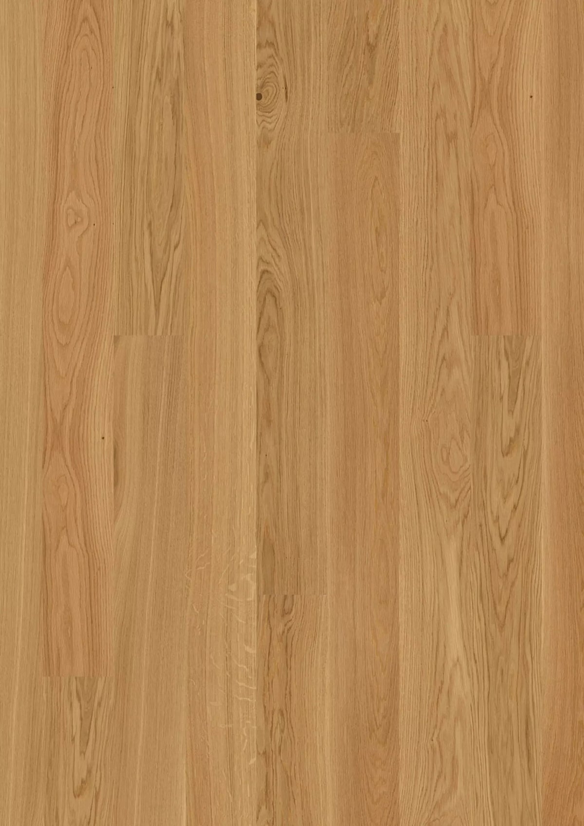 JOKA Calgary 527 LD E0903 Eiche Elegance Lack Landhausdiele Parkett