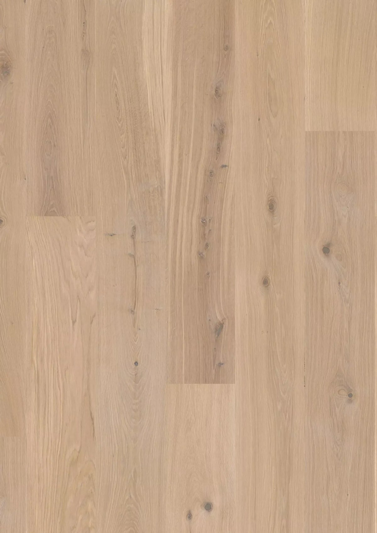 JOKA Calgary 527 LD E3414 Eiche Creme Nature Öl Landhausdiele Parkett