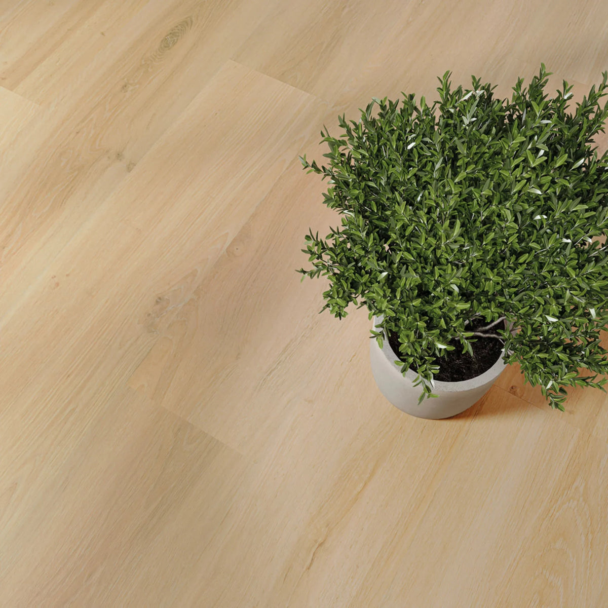 JOKA Design 340 Click 880 Mellow Oak Klick Vinyl