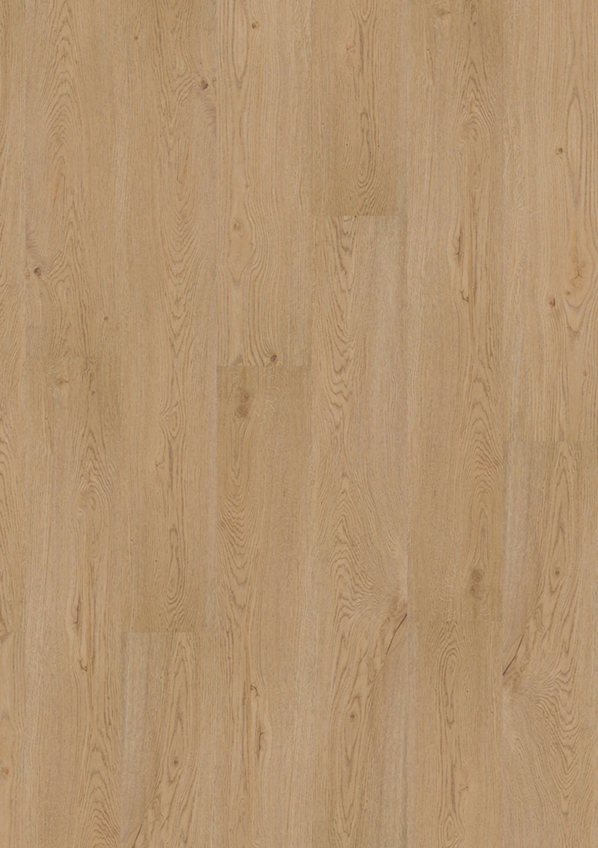 JOKA Design 340 Dryback 2881 Earthy Oak EIR Klebevinyl