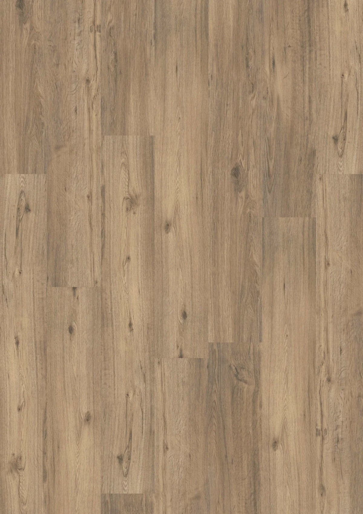 JOKA Design 555 Click 509 Spring Oak Klick Vinyl