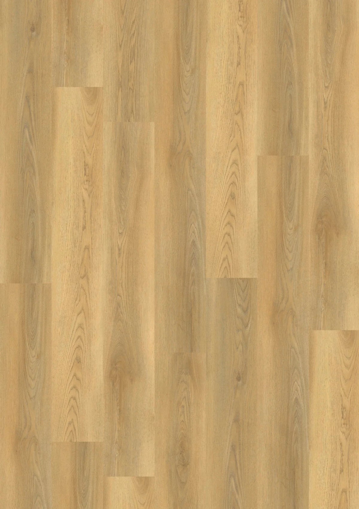 JOKA Design 555 Click 540 Timeless Oak Klick Vinyl