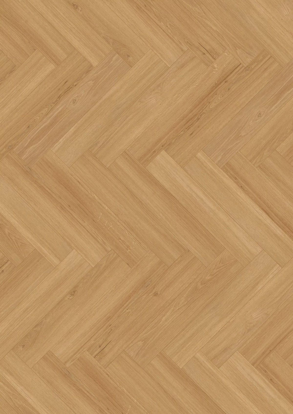 JOKA Design 555 Cycle Dryback 5380 Incredible Light Oak Klebevinyl