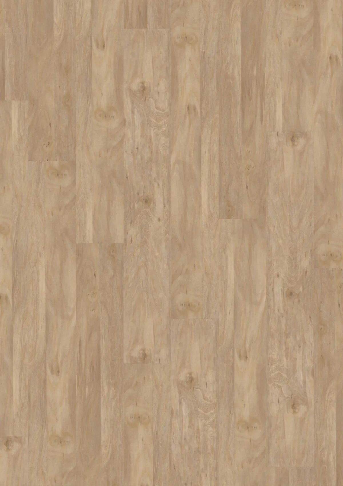 JOKA Design 555 Dryback 5413 Bleached Elm Klebevinyl