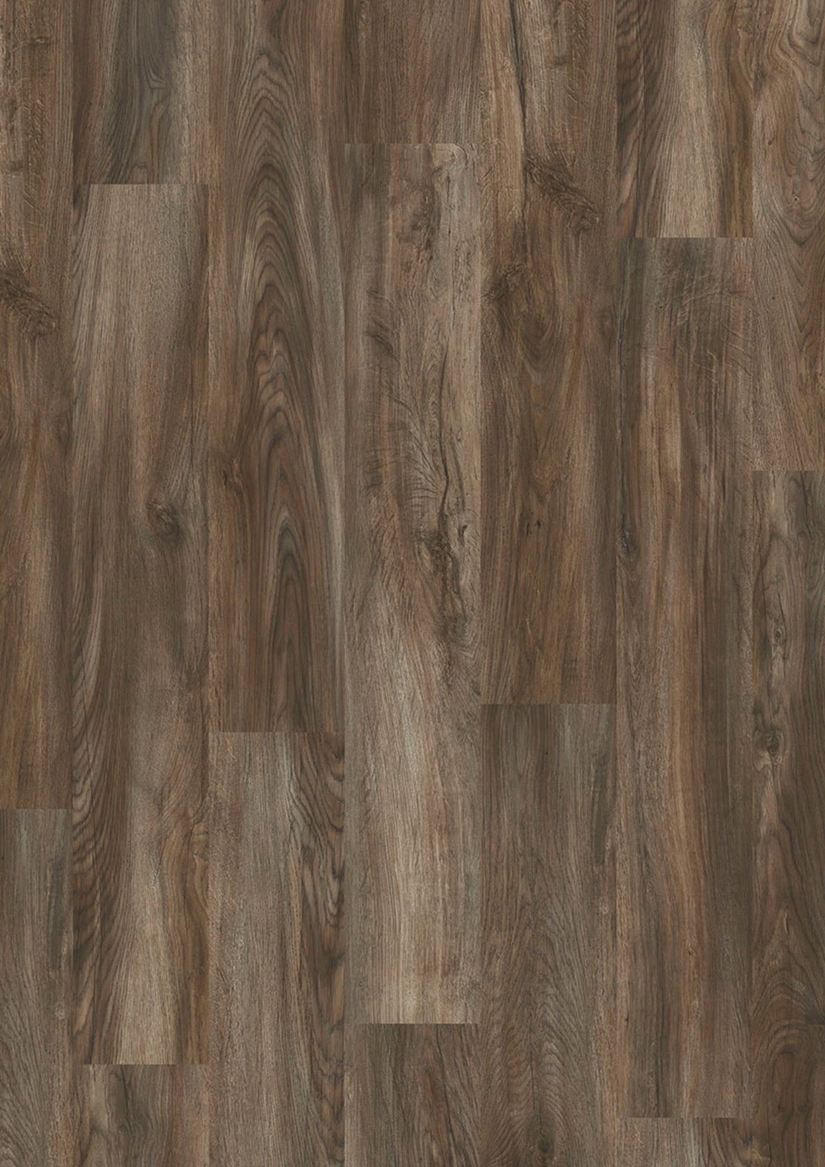 JOKA Design 555 Evolut Click 906 Mud Oak EIR Klick Vinyl