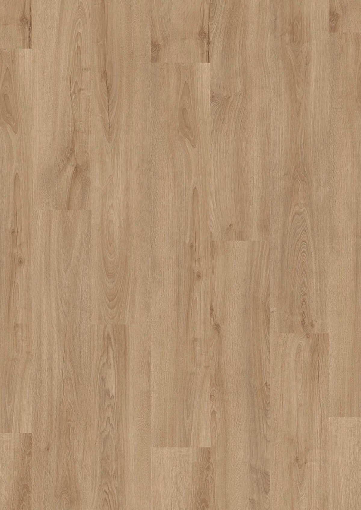 JOKA Design 555 Evolut Click 911 Forest Oak EIR Klick Vinyl