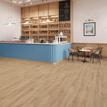 JOKA Design 555 Evolut Click 911 Forest Oak EIR Klick Vinyl