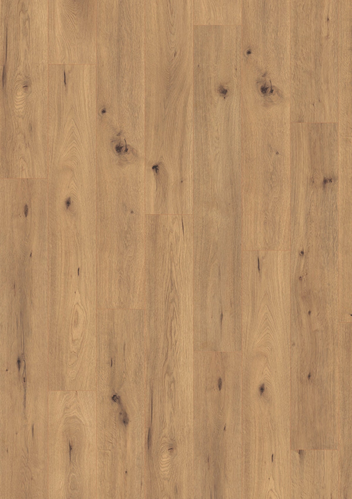 Dekoransicht JOKA Madison City 431NP 4844 Oak spirit Laminat