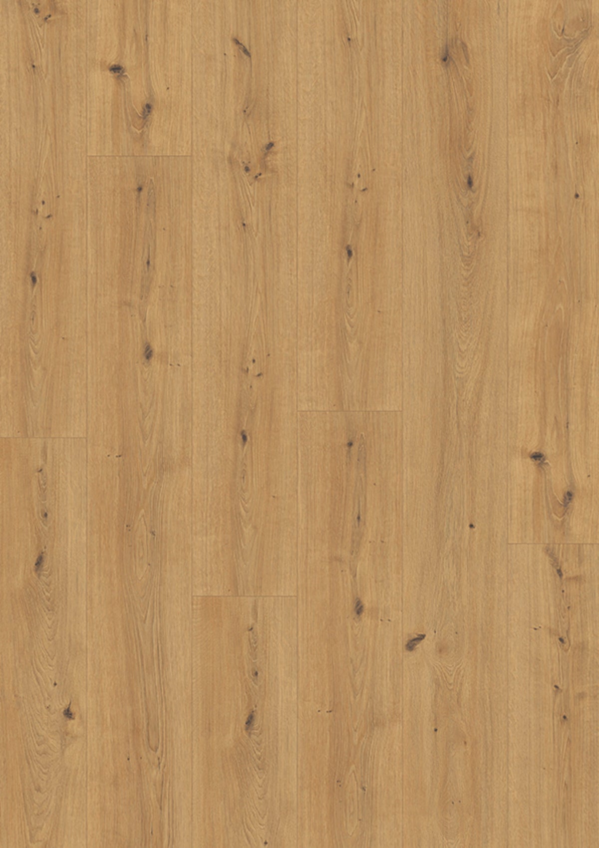 JOKA Skyline 533LP Laminat 5973 Oak loft honey