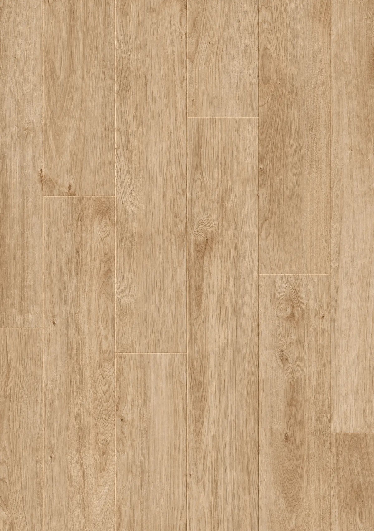Flächenansicht von JOKA Xplora NEXT 833 Wide Timeless 8813 Oak cottage pure V4 mit natürlicher heller Eichenzeichnung