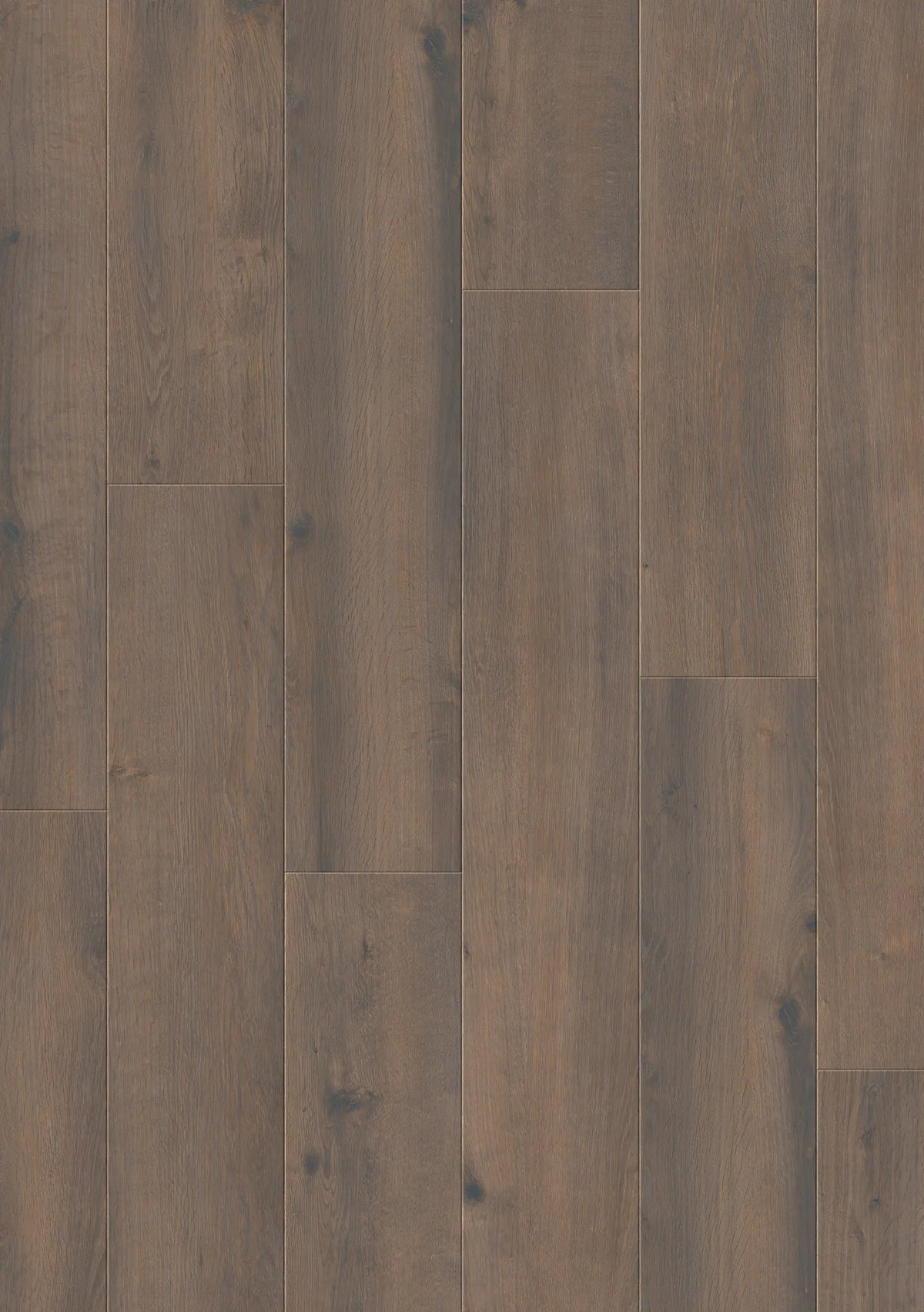 Flächenansicht von JOKA Xplora NEXT 833 Wide Timeless 8839 Oak cottage dark V4 mit dunkel geräucherter Eichenoptik und markanten Ästen