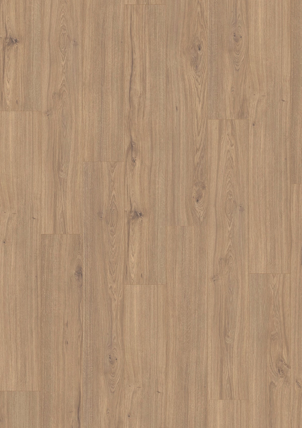 JOKA XploraPROVE 833 Dekor 8817 Oak royal greige V4 Naturdesignboden